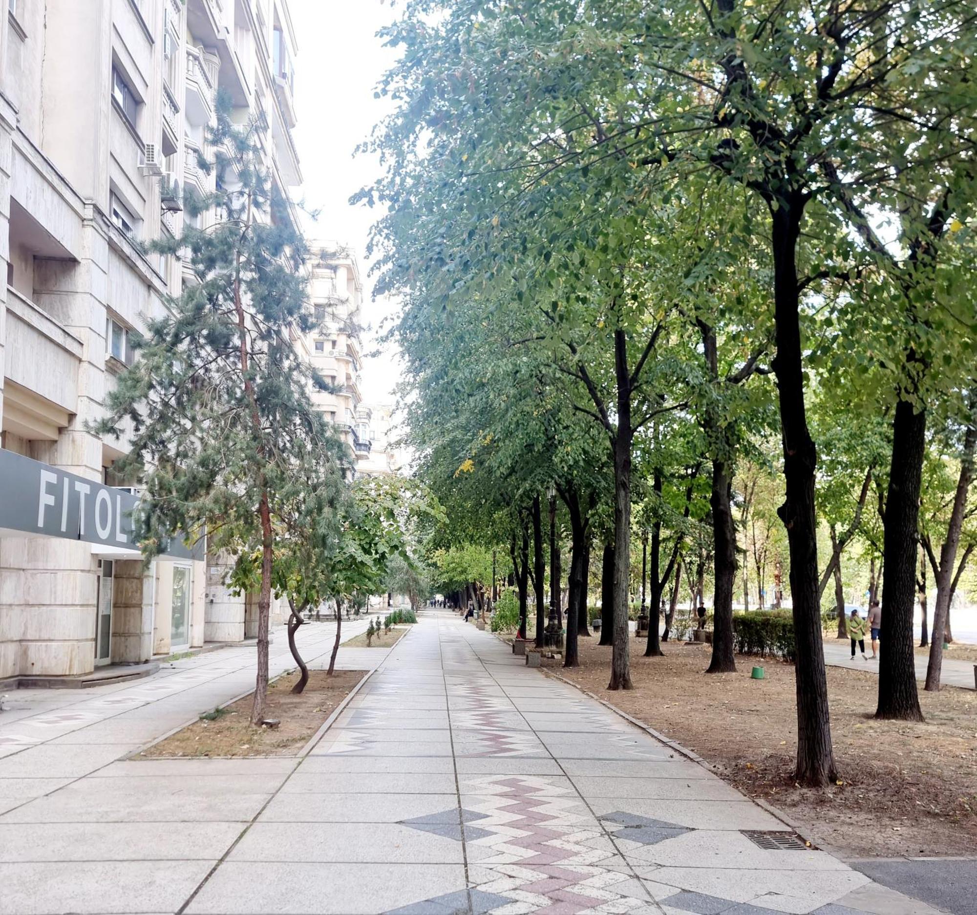 Tranquil Unirii Residence - Elegant & Spacious Living With Parking Steps From Parliament Boekarest Buitenkant foto
